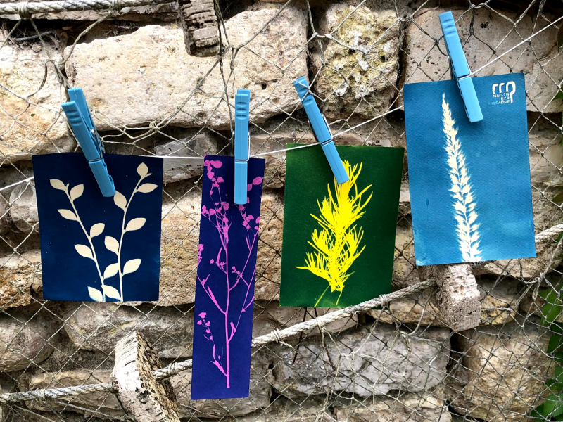cyanotype